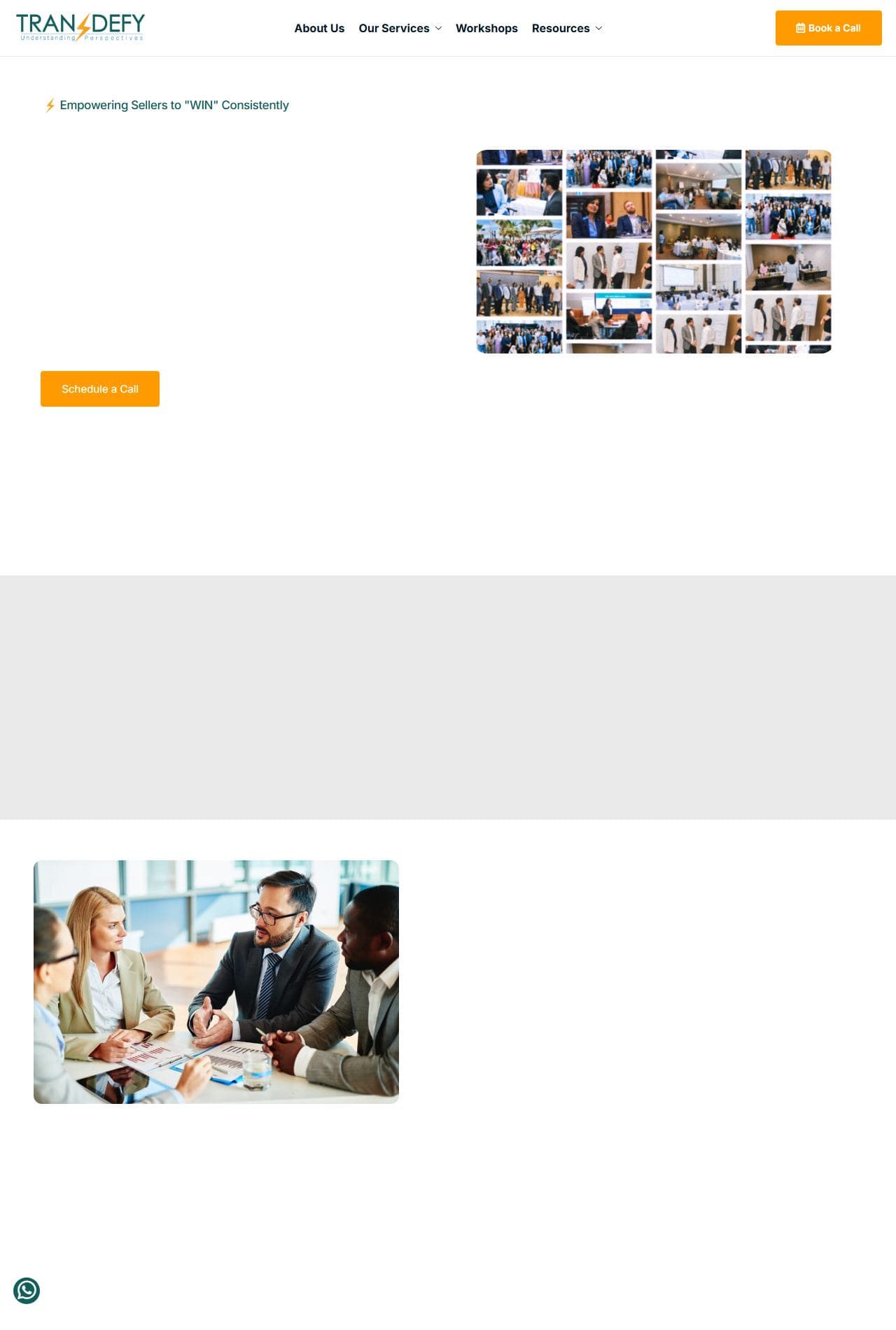 Screenshot of the Transdefy website